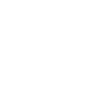 Shan Foods Certifications