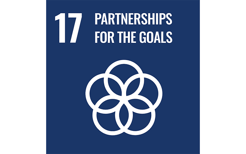 Partnerships For The Goals Partnerships For The Goals